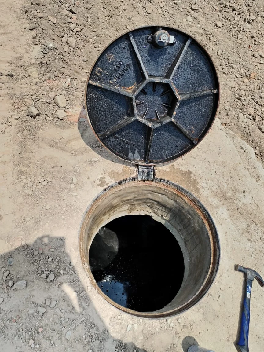 UMAP Activity - umap (49)